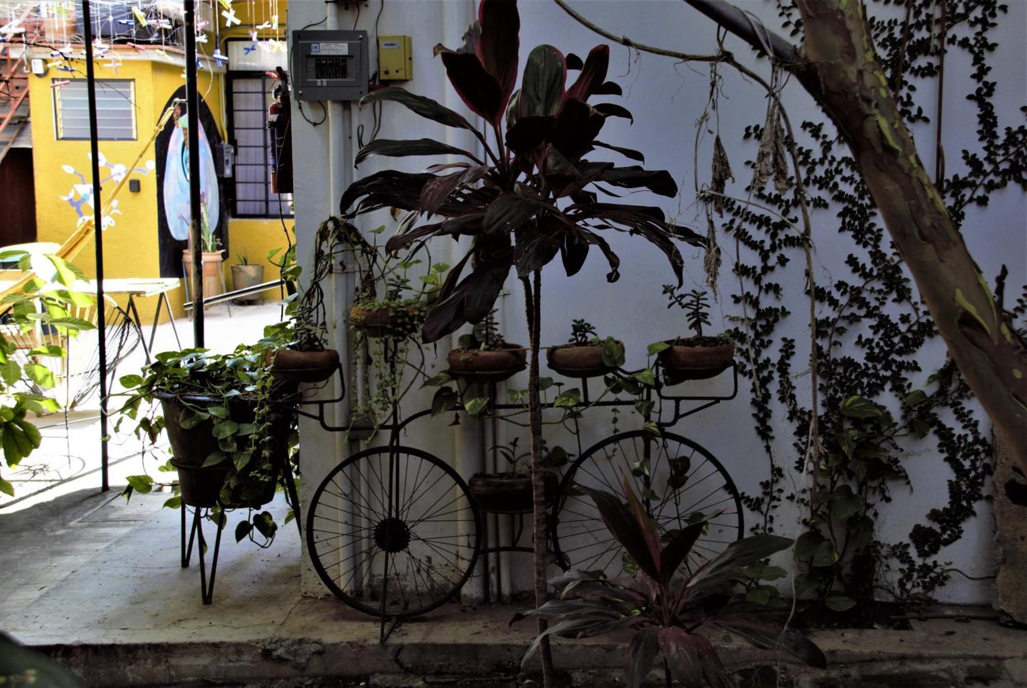 Apartamento Yellow Flat-estudio Centro Oaxaca